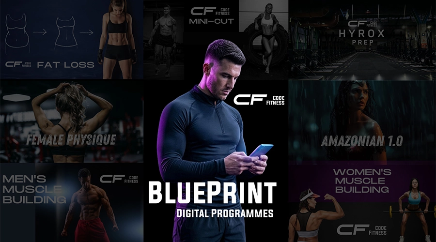 Graphic of what is included with Code Blueprint